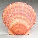 Shell Deep Water Bio Urn - Coral