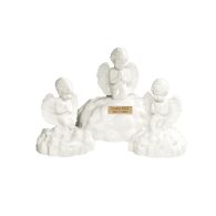 Angel On A Cloud  228 Cu In
