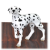 Dog Wood Cremation Urn Dalmatian  4 Sizes