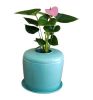 The Living Urn Indoors or Patio for Pets