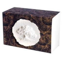 Bio Box Paper Style J Urn With White Paper Disks