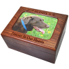 Memory Chest Wooden Box Dog Urn with Photo Window- Large
