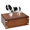 Dog Cremation Wood Urn Cavalier King Charles Spaniel Black & White  4 Sizes