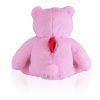 Loving Pink Teddy Bear Keepsake Urn 2  Cu In