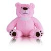 Loving Pink Teddy Bear Keepsake Urn 2  Cu In