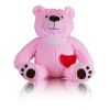 Loving Pink Teddy Bear Keepsake Urn 2  Cu In