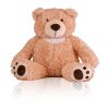 Loving Light Brown Teddy Bear Keepsake Urn 2 Cu In