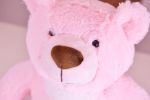 Loving Pink Teddy Bear Keepsake Urn 2  Cu In