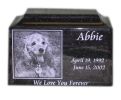 Engraved Photo Pet Urn in Granite