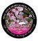 Biodegradable Memorial Tree Urn Flowering Cherry