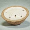 Water Series Eco Urn - Sand Dollar