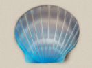 Biodegradable Shell Water Scattering Urn  400. CU.IN.