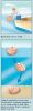 Biodegradable Shell Water Scattering Urn  400. CU.IN.